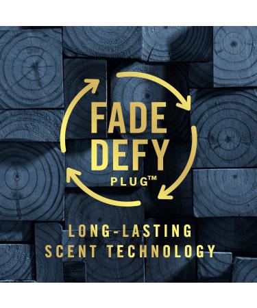Febreze Fade Defy PLUG Air Freshener & Odor Fighter Ocean Starter Kit & (2) 26 mL Oil Refills Febreze Plug kit 26 ml (Pack of 2) - Buy Online on GoSupps.com