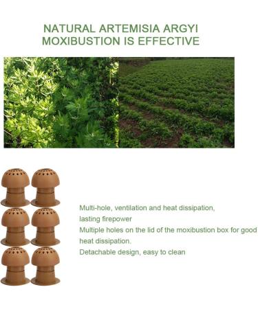 Buy Moxibustion Box: Chinese Moxa Sticks & Mini Heating Therapy Set for Fatigue Relief - Buy Online on GoSupps.com