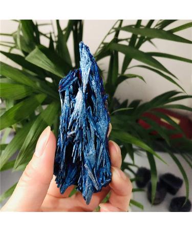 Natural Crystal Rough Natural Crystal Rough 1pcs Crystals and Stones Jet Stone Rainbow Titanium Cluster Blue Flame Feather Crystal Cluster Stones (Color : Blue Size : 30-40g) 30-40g Blue - Buy Online on GoSupps.com