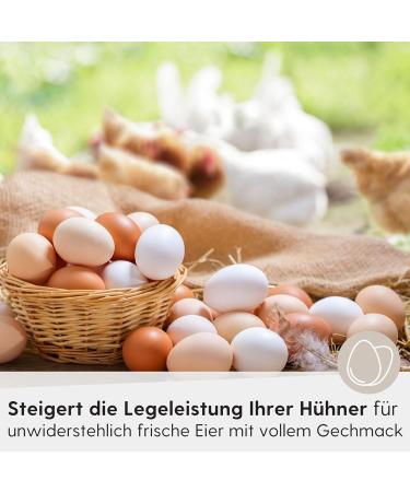 Fleim ller Chicken Food Against Mites 1kg - Premium Dust-Free Pellets with Natural Citrus & Herbs - 100% GMO-Free Laying Hen Feed - Buy Online on GoSupps.com