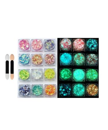Dreamil 12 Colors Fluorescent Glitter Face Eye Hair Nail Body Glitter Gel Luminous Glitter for Festival Carnival Christmas Halloween (With 2 Makeup Sticks