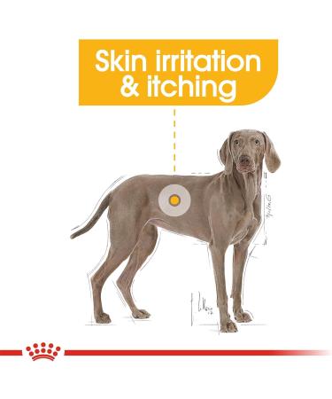 Royal Canin Canine Maxi Adult Dermacomfort Dry Dog Food - 10kg - Buy Online on GoSupps.com