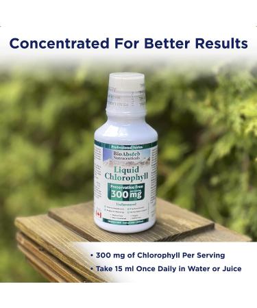 Bio Absorb Liquid Chlorophyll 300mg per Serving - 40-Day Supply | Non-GMO, Preservative-Free (20 oz) - Buy Online on GoSupps.com