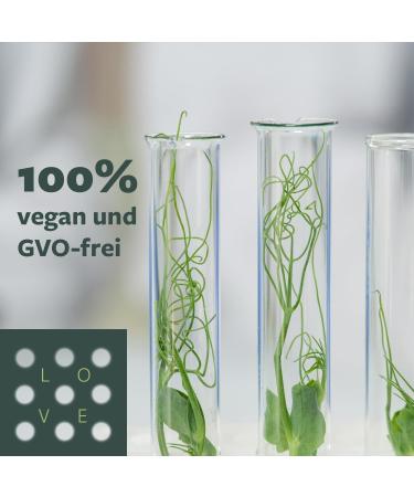 ove Ashwagandha KSM66 Root Extract with Magnesium Zinc & Vitamin B6 Vegan Superfood From Purest Sources 89g 120 Capsules - Buy Online on GoSupps.com