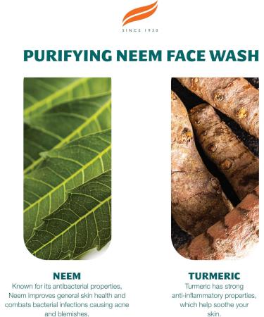 The Himalaya Drug Company Himalaya Purifying Neem Face Wash with Neem & Turmeric For Normal to Oily Skin Formulated with 100 Herbal Ingredients 150ml Pack of 2 - Buy Online on GoSupps.com