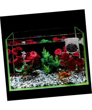 POPETPOP 1pc Red Worm Feeder Glass Terrarium Terrariums Fish Tank Dish Tray Fish Food Feeder Crawl Lipstick 6X4.5CM White - Buy Online on GoSupps.com