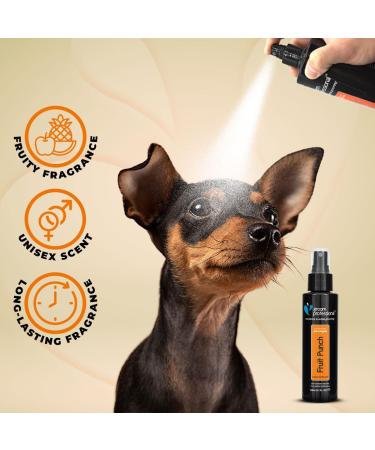 GROOM PROFESSIONAL Fruit Punch Dog Cologne Spray - Dog Perfume Spray - Dog Spray for Smelly Dogs - Tropical Cocktail Scent - Fruity Fragrance - Perfect for Between Washes - Long-Lasting Scent 100ml 100 ml (Pack of 1) - Buy Online on GoSupps.com