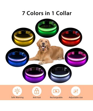 Buy Luminous LED Dog Collar - Adjustable Waterproof 7 Color Changing Light for Night Safety - Fits Small Medium & Large Dogs (38-50cm) - 2022 Orange - Buy Online on GoSupps.com