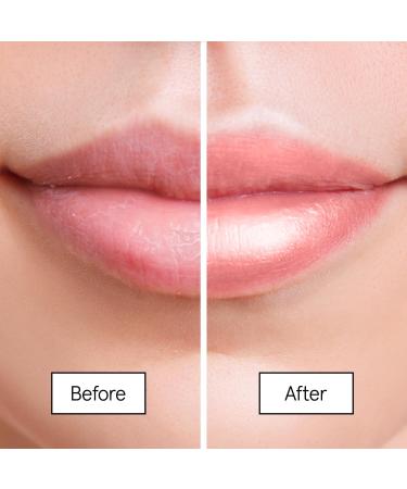 grace & stella Award Winning Lip Balm - Berry - Pack of 3 - 0.7 Oz. - Buy Online on GoSupps.com