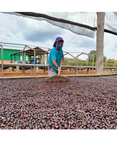 Sustainable Seasonal House Espresso Blend 1KG - Freshly Roasted Brazilian/Columbian Beans - Rainforest Certified - Buy Online on GoSupps.com