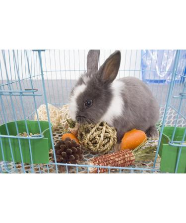 LLGLEU 2 Pcs Grass Mat for Rabbit with 4 Play Balls Pine Cone Carrot Bunny Chew Toy Natural Woven Bed Mat Molar Teeth Set for Guinea Pig Chinchilla Squirrel Hamster and Small Animal (Typ1) - Buy Online on GoSupps.com
