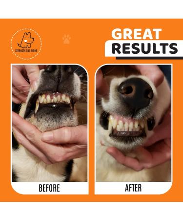 Strength and Shine Dog Toothbrush Dental Hygiene Kit - Online How-to Video Bamboo Brush Finger Brush and Storage Case Information Leaflet - Perfect for Dogs Easy to use and Durable - Buy Online on GoSupps.com