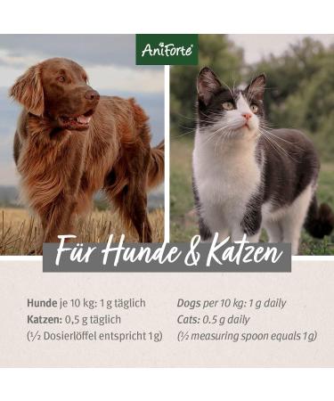 AniForte Bierhefe Powder for Dogs 500g - Natural Supplement for Shiny Fur & Healthy Skin with Biotin & Vitamin B - Buy Online on GoSupps.com