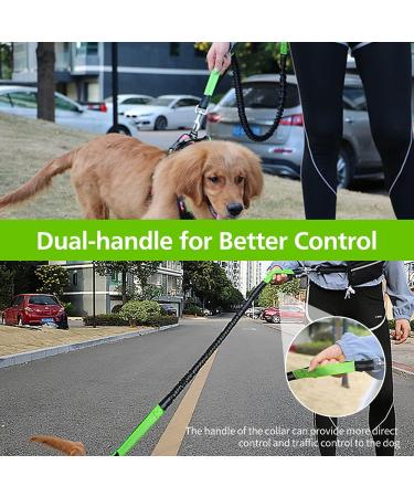 Hands Free Dog Lead for Running Walking Training Hiking Dual-Handle Shock Absorbing Reflective Bungee Adjustable Waist Belt and Pouch Ideal for Medium to Large Dogs(Black/Green) - Buy Online on GoSupps.com