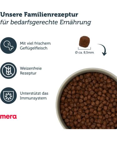 Mera Finest Fit Kitten Dry Cat Food - Healthy Sugar-Free Poultry & Rice Formula for Kittens Up to 1 Year (1.5 kg) - Buy Online on GoSupps.com