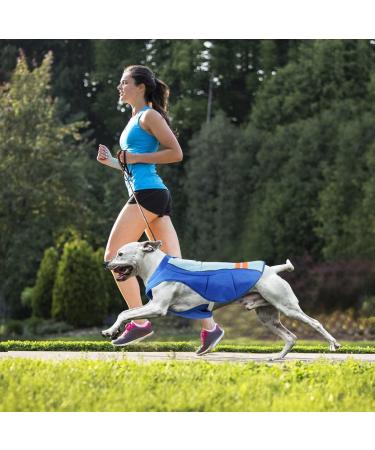 MOSUCOURL Dog Cooling Vest - Breathable Summer Coat for Dogs | Anti-Heat Evaporative Jacket for Outdoor Activities (Blue XS) - Buy Online on GoSupps.com
