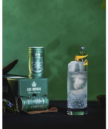 East Imperial Premium Yuzu Lemonade Cans - 6.1 Fl Oz (Pack of 10) | No Artificial Sweeteners, Flavorings, or Preservatives - Buy Online on GoSupps.com