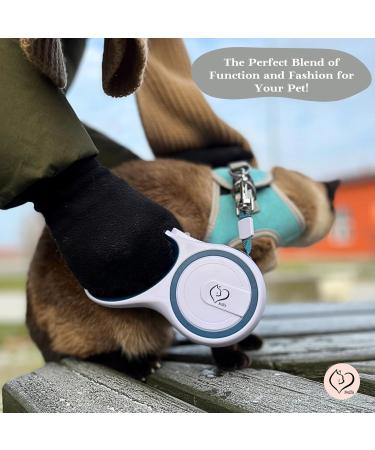 Belffy Cat Dishes & Automatic Leash Set for Cats Kittens Puppies | Outbreak-proof Jacket for Small Medium & Large Pets (Medium Blue) - International Shipping - Buy Online on GoSupps.com