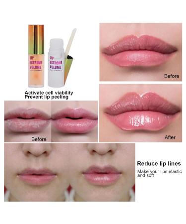 2Pcs Day & Night Lip Plumping Oil Set 4.5G Plumper Serum With Ginger + Mint Gloss for Moisturizing and Reducing Fine Lines - Buy Online on GoSupps.com