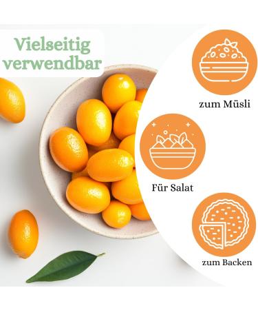  1001 Frucht 1001 Frucht Candied Kumquats 1000g | Dried Exotic Dwarf Orange | Premium Dried Fruit | Whole Candied Kumquat Fruit | Sweetened Gluten-Free No Flavor Enhancers - Buy Online on GoSupps.com