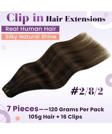 Buy Laavoo Real Hair Clip-In Extensions - Brown Balayage & Ombre 7pcs 105g 14 Inches - Premium Quality Double Treat Hair - Buy Online on GoSupps.com