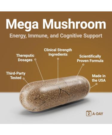Procera Mega Mushroom - Improved Memory, Natural Energy & Mental Clarity - Clear Mind - Lift Brain Fog - Immune Support - Detox - Lions Mane Chaga Cordyceps Shiitake Turkey Tail - 60 Count - Buy Online on GoSupps.com