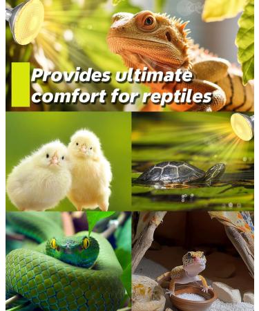 TobeBright 75W Reptile Heat Lamp Bulb with UVA UVB for Vivarium, Bearded Dragon, Lizard - Dimmable E27 PAR30 Tortoise Heat Lamp - Buy Online on GoSupps.com