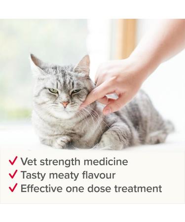 Beaphar | WORMclear Tablets for Cats | Kills All Common UK Intestinal Worms (Roundworms & Tapeworms) | Vet Strength Treatment | Meat-Flavoured | 2 Tablets (Pack of 1) 2 Tablets (Pack of 1) Single - Buy Online on GoSupps.com