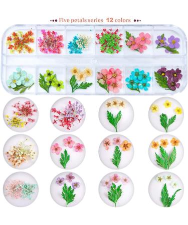 UNIME 16 Colors Dried Flowers for Nail Art | Mini Real Natural Flowers Nail Art Supplies | 3D Applique Decoration Sticker for Manicure (Mixed Gypsophila) - Buy Online on GoSupps.com