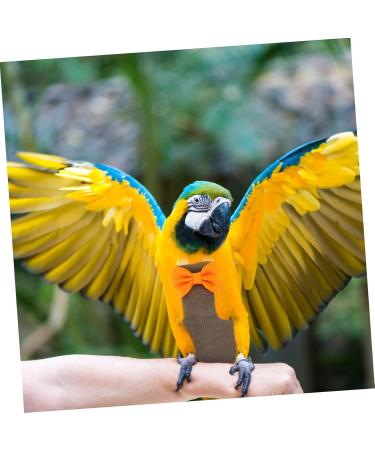 FOMIYES 2pcs Cocktail for Nappy Pigeon Supply Protector Parakeet Birds Long Bird Lovebird Pet Parrot Flying 14x7cmx2pcs - Buy Online on GoSupps.com