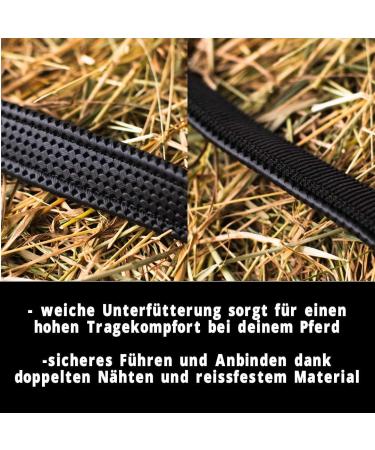 Buy Horse Delinis Halter for Warmbloods Thoroughbreds & Ponies - Adjustable Tear-Resistant Black COB Stable & Pasture Use - Buy Online on GoSupps.com