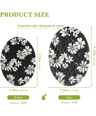 3-Pack Cleaning Kitchen Sponges Oval Little Daisy Black Kitchen Cellulose Dishwashing Wood Pulp Cotton - Buy Online on GoSupps.com