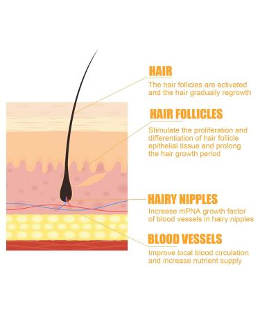 500ml Ginger Hair Regrowth Shampoo for Thickening & Anti-Hair Loss - 2 Pack - Buy Online on GoSupps.com