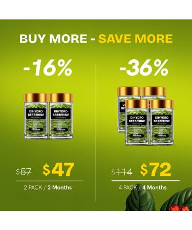 HealMeal Dihydroberberine Supplement - Dehydro Berberine Organic - Super Berberine Supplement with Ceylon Cinnamon & R Alpha Lipoic Acid & Apigenin - Hydroberberine 120 caps (1 Pack) - Buy Online on GoSupps.com