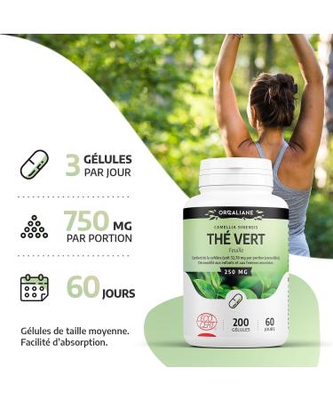 Organic Green Tea 250 mg - 200 Capsules - Ecocert Certified - Orgaliane - Buy Online on GoSupps.com