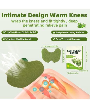 Tacilin Pain Relief Patches - 40 Count | Fast Relief for Knee Back Neck & Sore Muscles | Wormwood Wellness Plaster - Ship Worldwide - Buy Online on GoSupps.com
