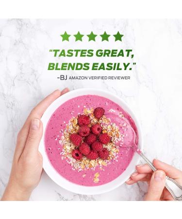 Vega Protein & Greens Berry - 20g Vegan Protein Powder | Low Carb, Keto, Dairy & Gluten Free | 1.7 lbs - Buy Online on GoSupps.com