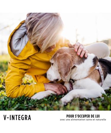 V-INTEGRA Senior Dog - Complete Supplement Rich in Vitamins and Minerals for the Homemade and Barf Ration of Senior Dogs - 500 g - Made in Italy - Buy Online on GoSupps.com