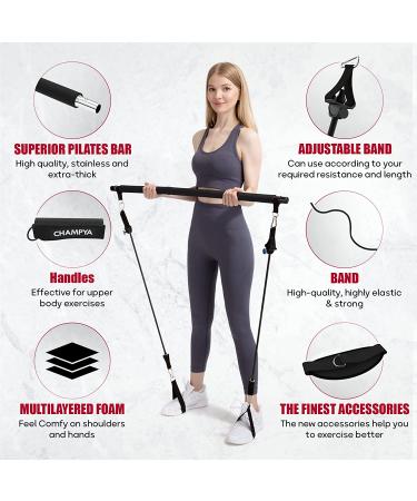 65cm Yoga Ball Chair for Pregnancy, Physical Therapy & Office - Stability Ball with Stainless Steel Pilates Bar - Black - Buy Online on GoSupps.com