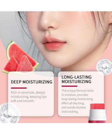 Repair Stick Tinted Lip Balm Moisturizing Butter Longlasting moisture balm for men and women nonirritating labi care - Buy Online on GoSupps.com