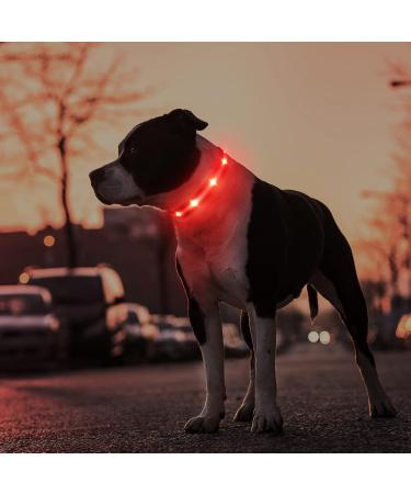 Masbrill Luminous Dog Collar | LED Adjustable Safety Band for Small to Large Dogs | Waterproof & Flashing Lights - Red XS (25-35cm) - Buy Online on GoSupps.com
