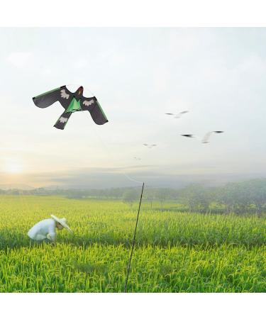 Shop Aizuoni Falcon Bird Dragons - Spring Reflective Birds for Global Shipping | Unique Decorative Art - Buy Online on GoSupps.com