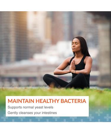 Syntol AMD Advanced Microflora - 500mg, 90 Capsules | Arthur Andrew Medical - Buy Online on GoSupps.com