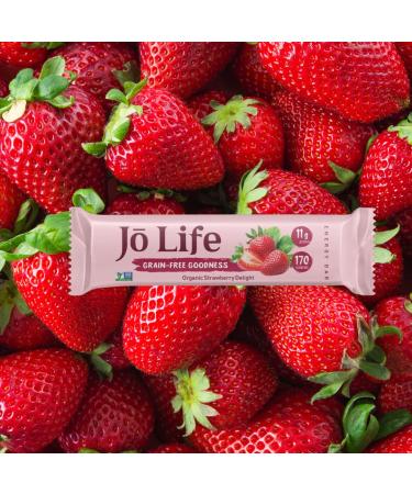 Organic Strawberry Protein Bars - 12 Pack - Buy Online on GoSupps.com