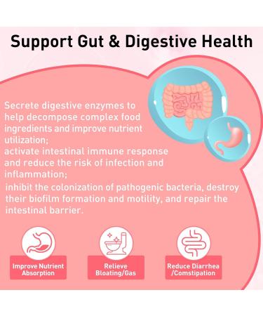 XKQ Probiotic Capsules with Prebiotics & Lactobacillus pH Balance & Flora Support Formula 60 Count - Buy Online on GoSupps.com