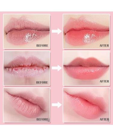 4Pcs Bee Lip Balm Honey Pot Galentines & Valentines Day Gifts Girls Party Favors Strawberry Watermelon Apple Lime Honey Lip Mask Overnight Moisturizing Vitamin E Prevention Lip Dry Honey & Strawberry & Watermelon & A  - Buy Online on GoSupps.com