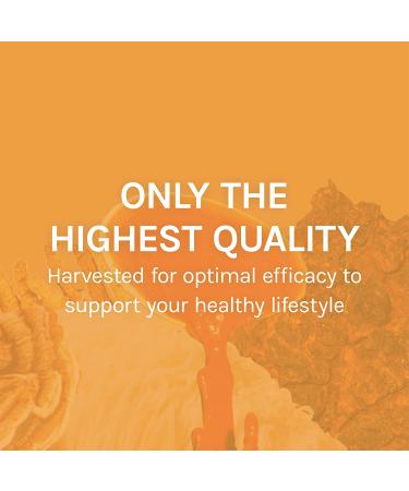 Fungi Perfecti Chaga Capsules - 120 Vegetarian Capsules for Immune Support - Buy Online on GoSupps.com