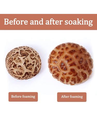 YanHouTang White Flower Shiitake Mushrooms 4 Oz - Premium Dried Mushrooms, Rich in Protein, All Natural & Nutritious, Soft Texture, Fresh Flavor - Buy Online on GoSupps.com