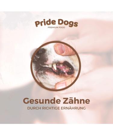 Prideedogs Cattle Ears with Shell - 5 Premium Beef Dog Treats | 100% German Quality | Odor-Neutral Bag | Ideal Chewing Snack - Buy Online on GoSupps.com