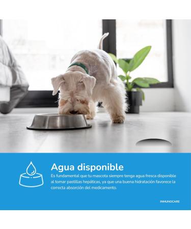 Barakaldo Vet Shop Immunocare BVS for dogs and cats 30 tablets - Buy Online on GoSupps.com